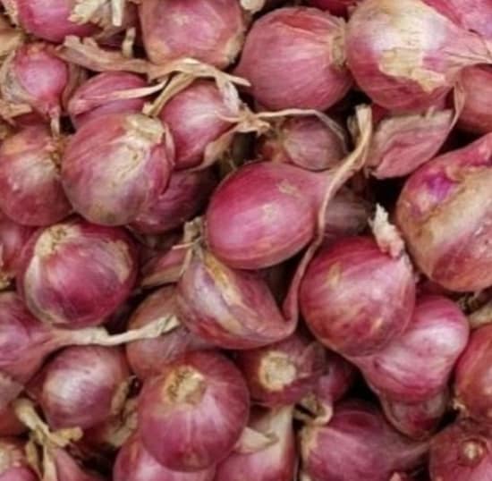 모충 샬롯 험뎅 미니양파, 1kg